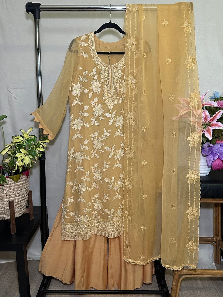 Rusty Orange Chiffon Self coloured Embroidered Set with Dupatta - Flare Palazzo